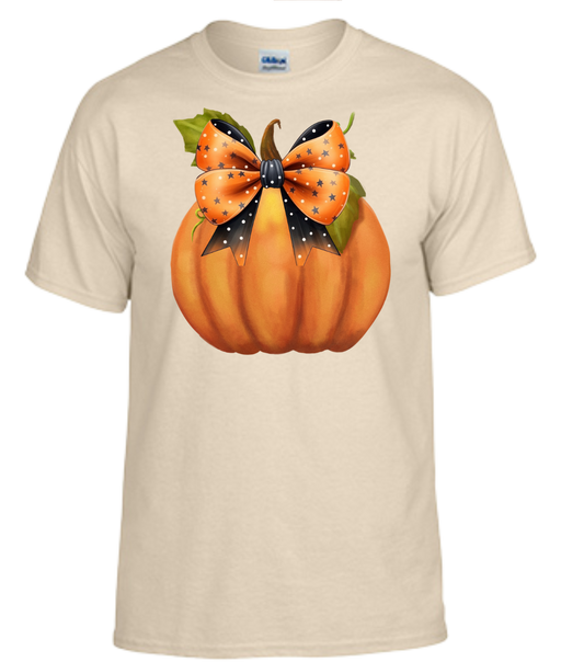 Pumpkin With Orange and Black Bow