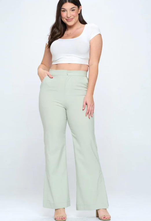 Plus size wide leg pants with button closure and pockets.