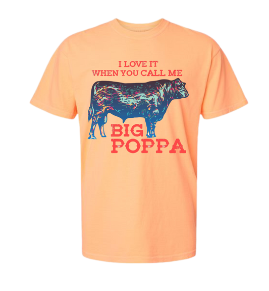 Comfort Color t-shirt with "I Love It When You Call Me Big Poppa" text and bull graphic, vibrant design.
